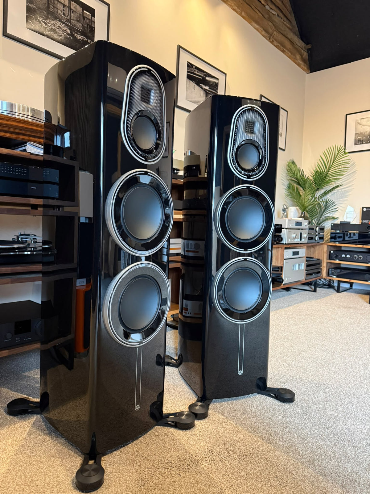 Clearance: Ex-Display Monitor Audio Platinum 300 3G (Black)