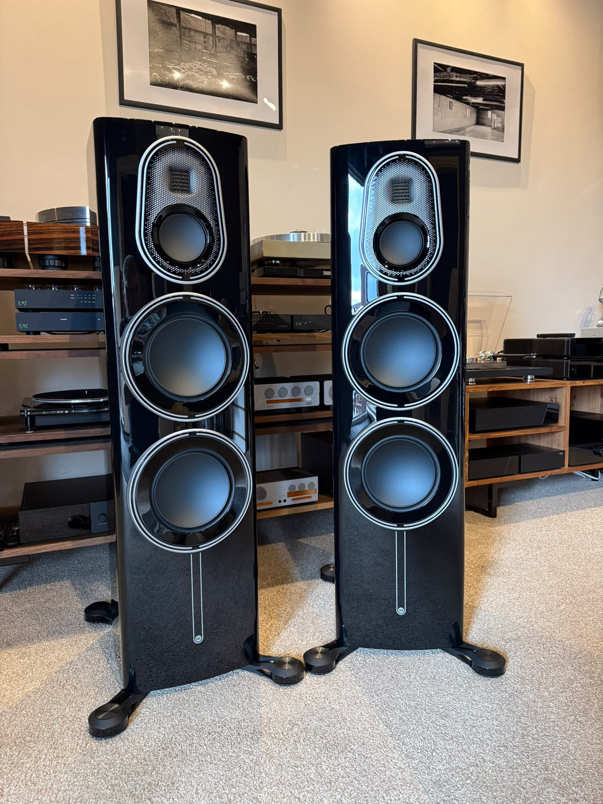 Clearance: Ex-Display Monitor Audio Platinum 300 3G (Black)