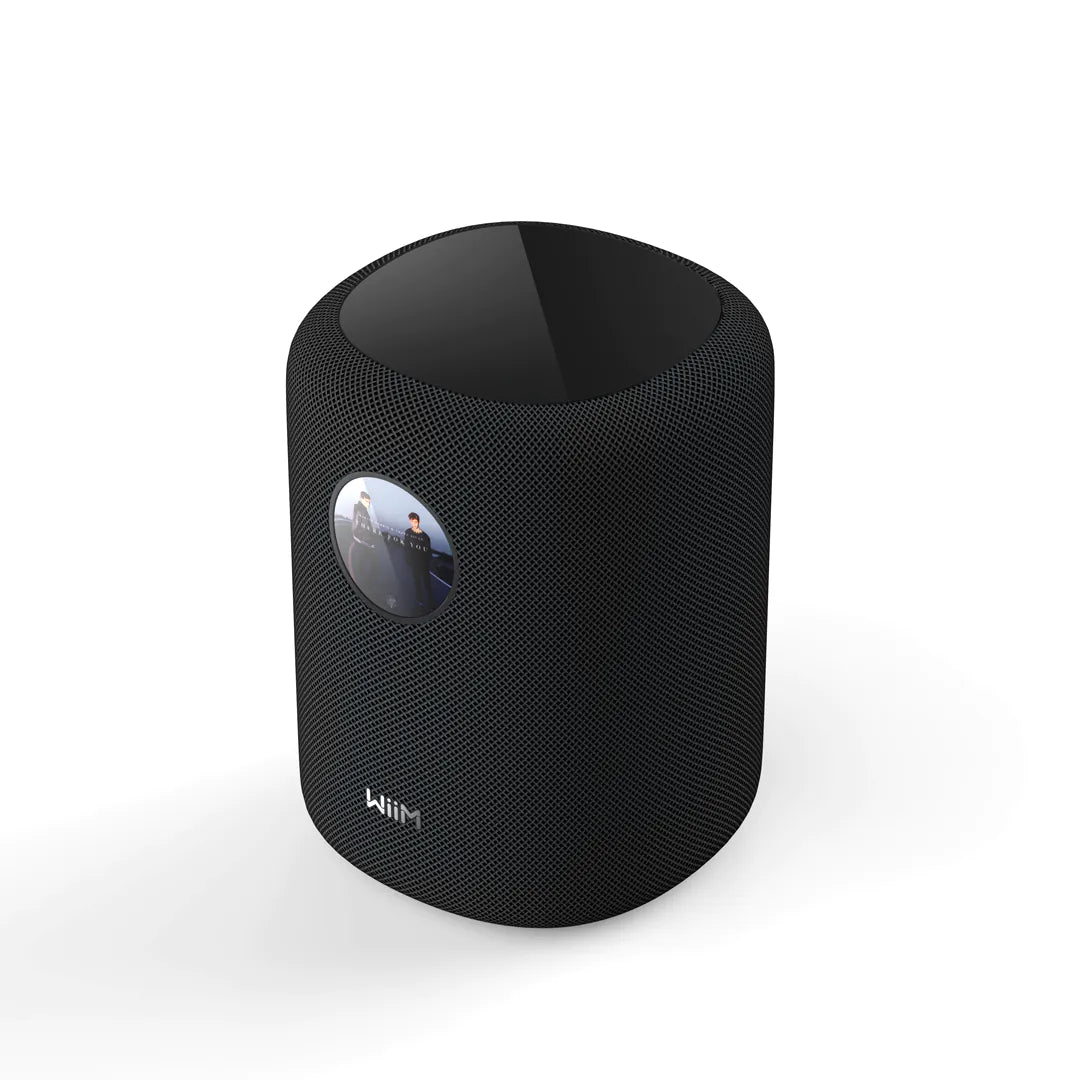 WiiM Sound Smart Speaker