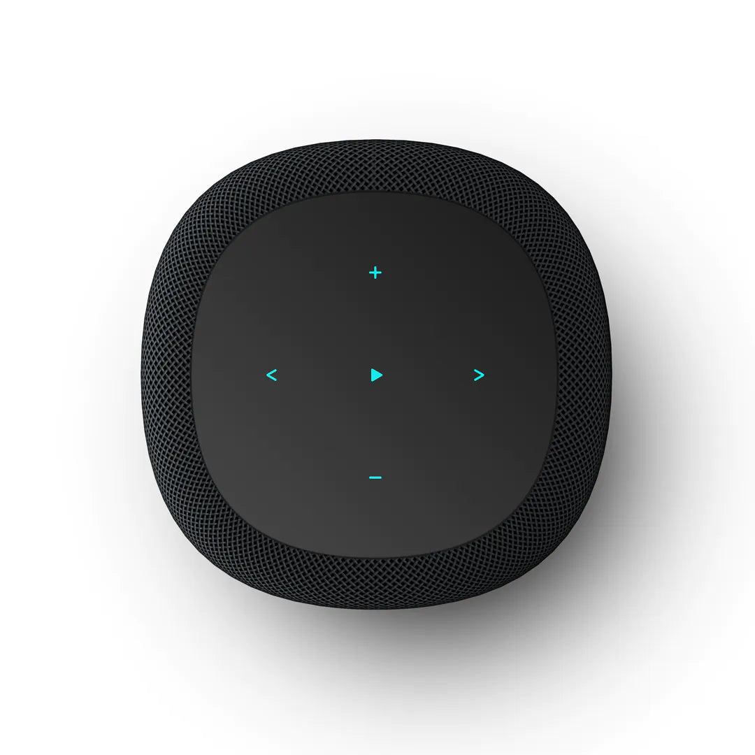 WiiM Sound Smart Speaker