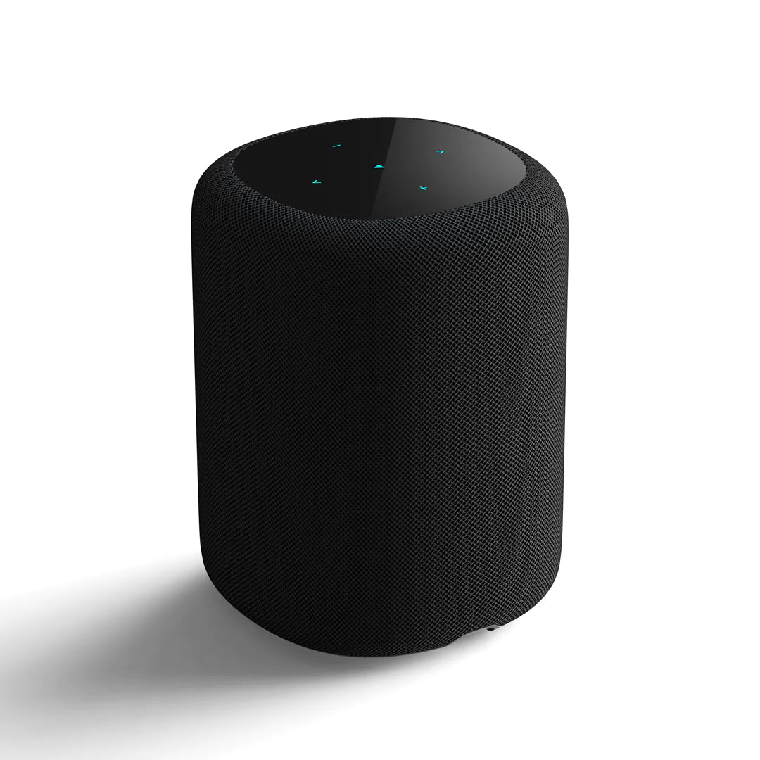 WiiM Sound Smart Speaker