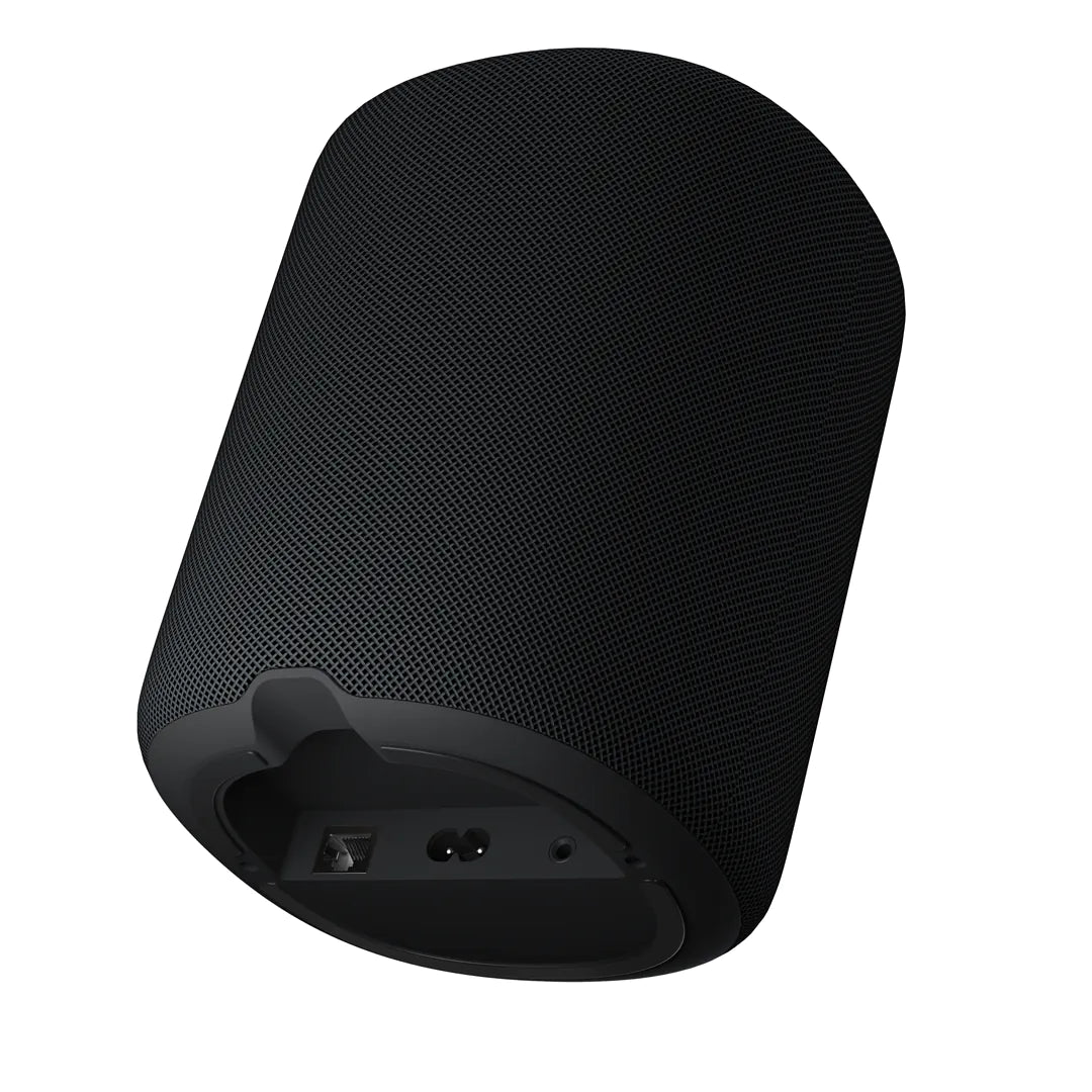 WiiM Sound Smart Speaker