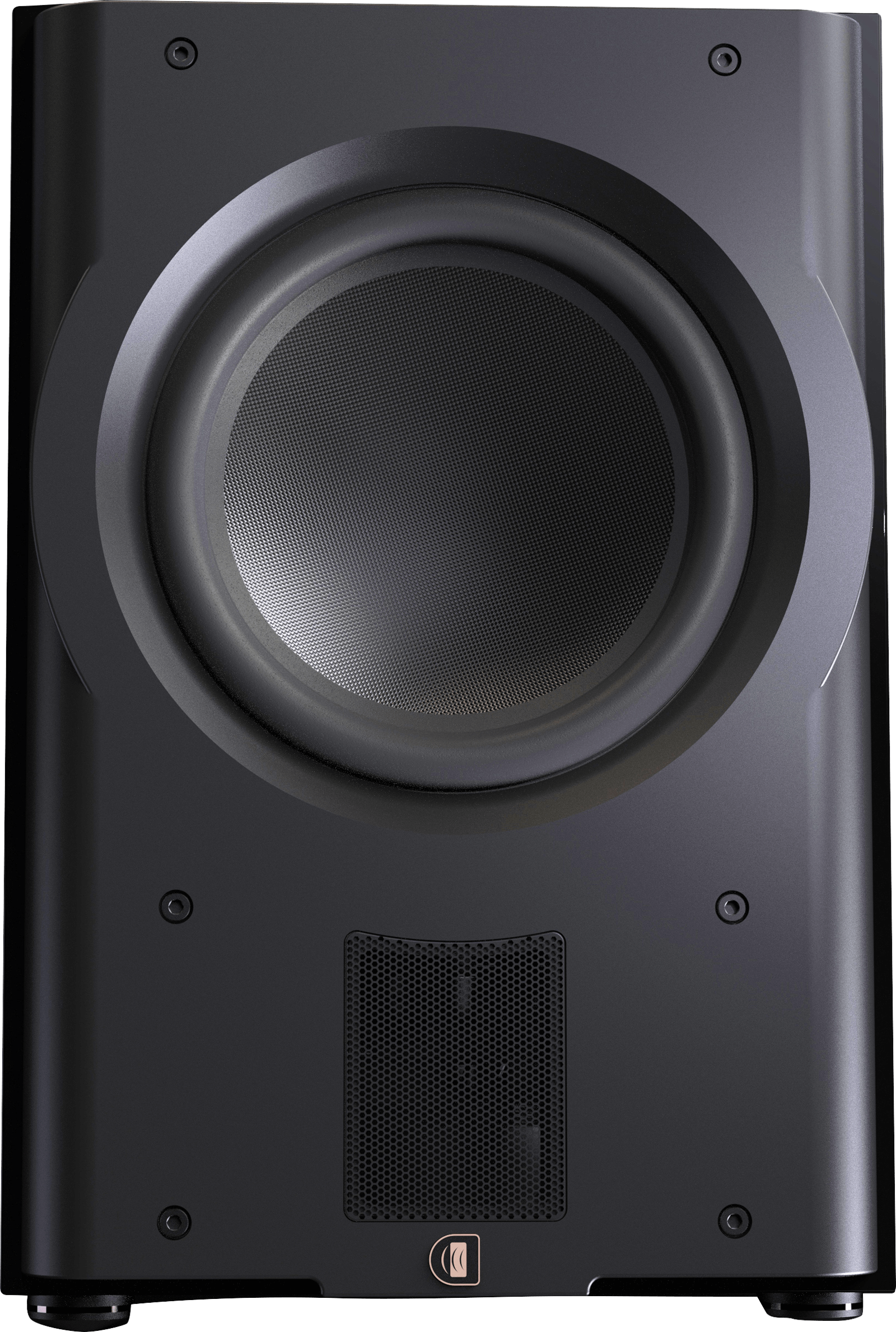 Perlisten Audio R210s Subwoofer