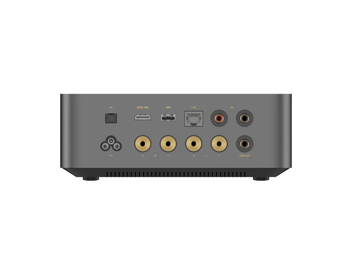 Wiim amp ultra