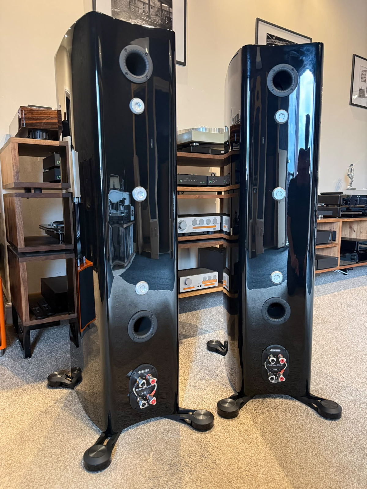 Clearance: Ex-Display Monitor Audio Platinum 300 3G (Black)