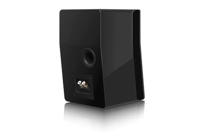 SVS Ultra Evolution Nano Speaker