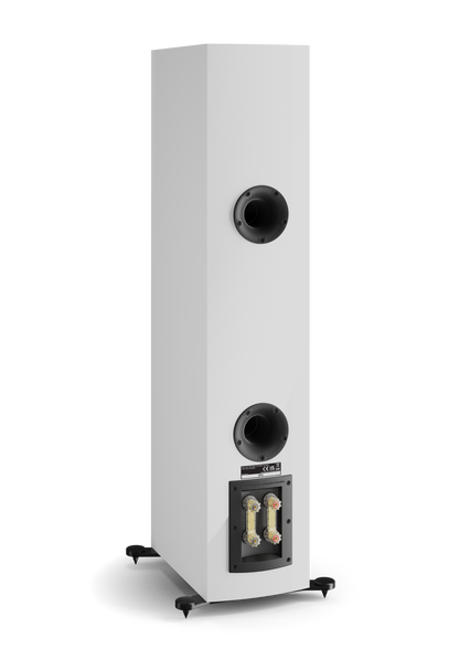 DALI RUBIKORE 6 Floor Standing Speakers