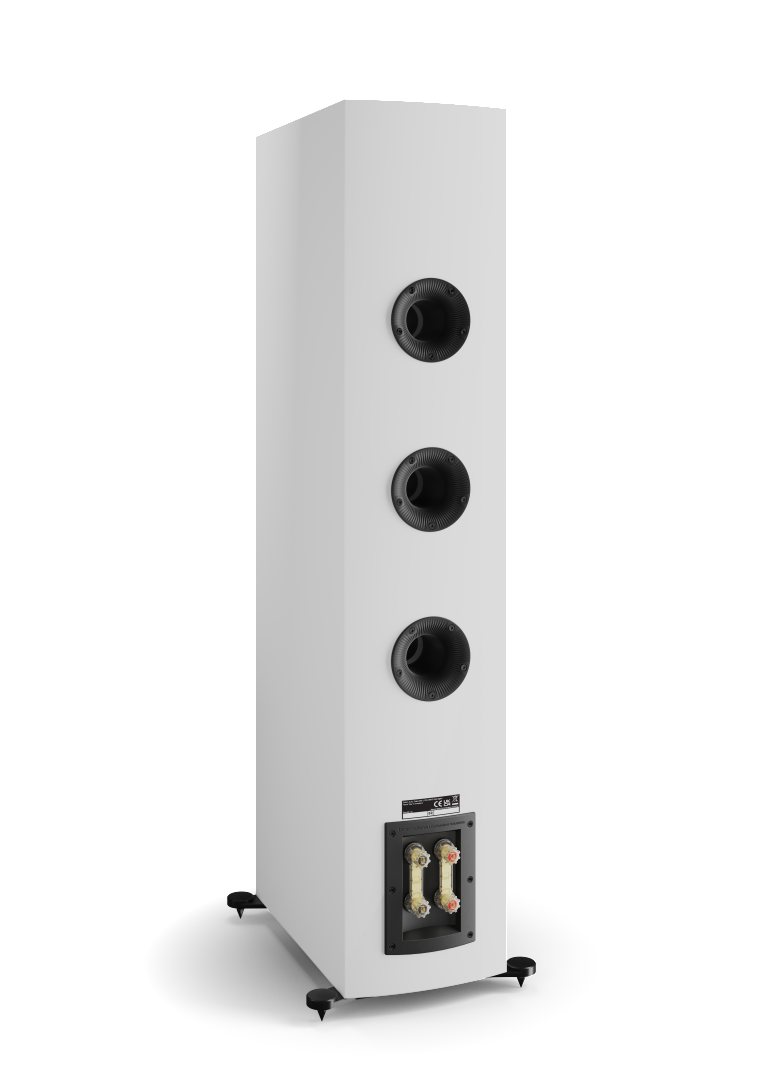 DALI RUBIKORE 8 Floor Standing Speakers