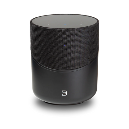 Bluesound Pulse M