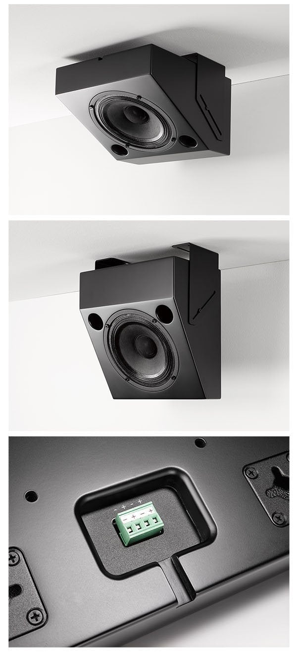 Ascendo The 6 Passive wedge 30 On-Wall Loudspeaker