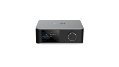 WiiM Ultra High Resolution Network Streamer (Silver)