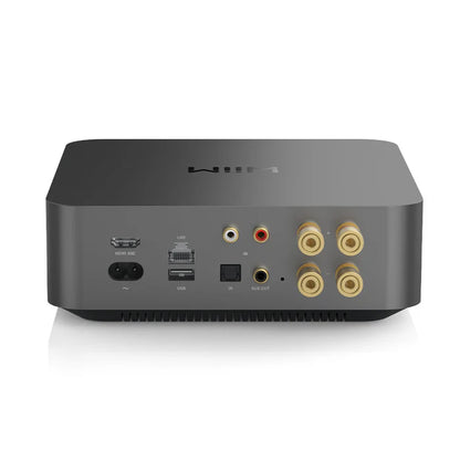 Wiim amp pro - streaming amplifier