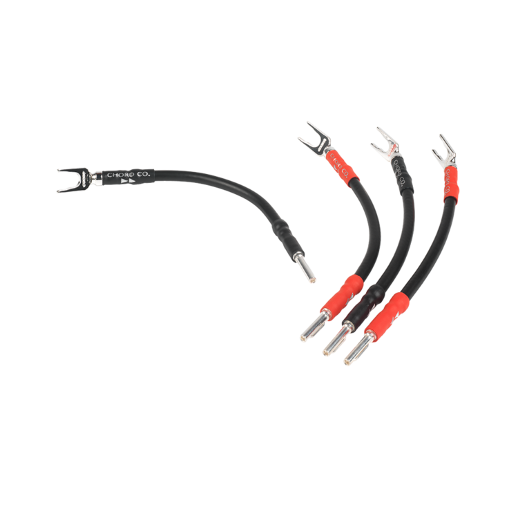 Signature Links ChordOhmic