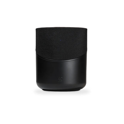 Bluesound Pulse M