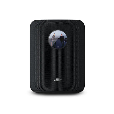 WiiM Sound Smart Speaker