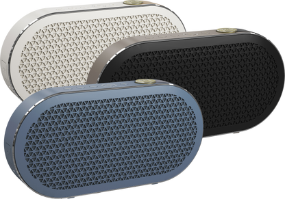 DALI KATCH G2 Portable Bluetooth Speaker