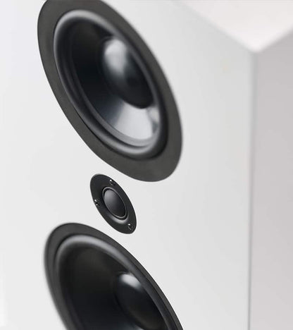 Lyngdorf FR-1 full range on-wall speaker (pair)