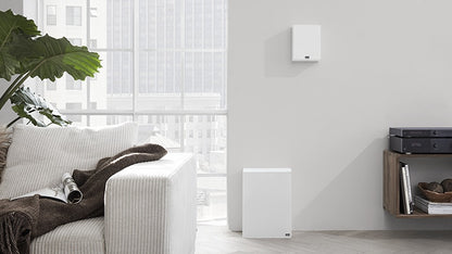 Lyngdorf BW-2 compact subwoofer