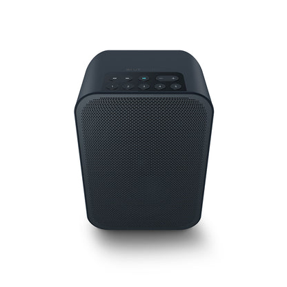 Bluesound PULSE FLEX 2i Portable Wireless Multi-Room Music Streaming Speaker