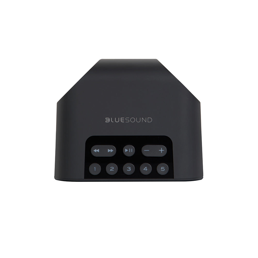 Bluesound PULSE FLEX 2i Portable Wireless Multi-Room Music Streaming Speaker