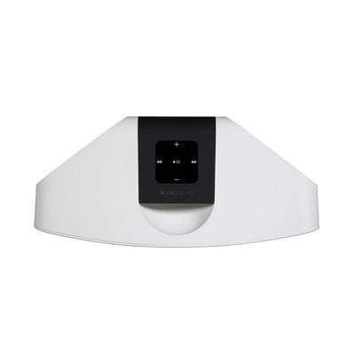 Bluesound PULSE MINI 2i Compact Wireless Multi-Room Music Streaming Speaker
