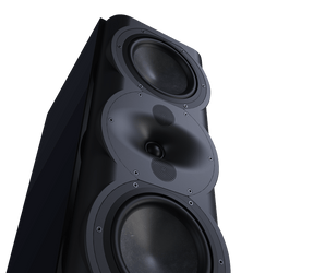 Perlisten Audio R5M speakers (pair)