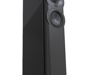 Perlisten Audio R5T tower speakers (pair)